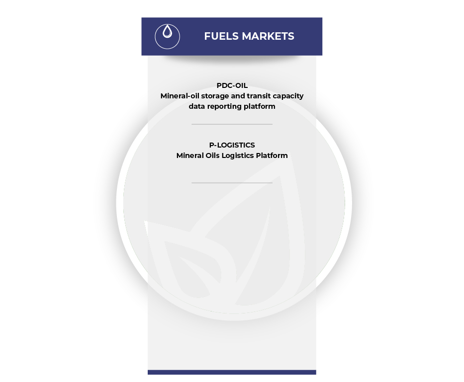 Diagram representing the PDC-OIL and P-LOGISTICS platforms belonging to the Fuel Market
